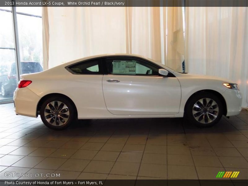 White Orchid Pearl / Black/Ivory 2013 Honda Accord LX-S Coupe