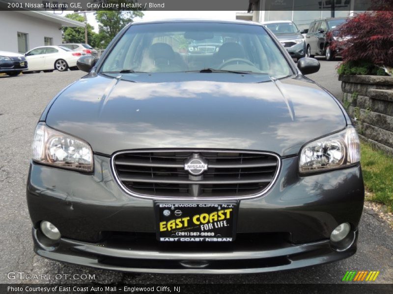Gray Lustre Metallic / Blond 2001 Nissan Maxima GLE