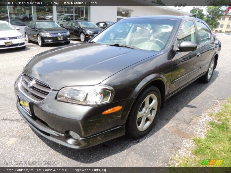 Gray Lustre Metallic / Blond 2001 Nissan Maxima GLE