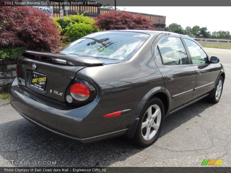 Gray Lustre Metallic / Blond 2001 Nissan Maxima GLE