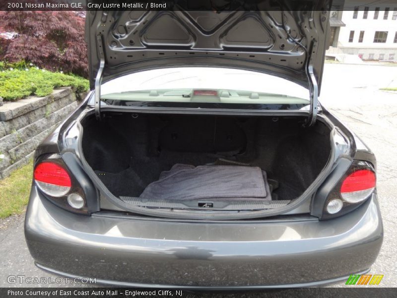 Gray Lustre Metallic / Blond 2001 Nissan Maxima GLE