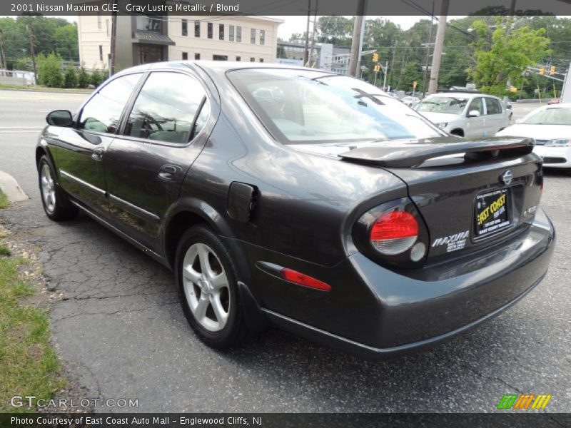 Gray Lustre Metallic / Blond 2001 Nissan Maxima GLE