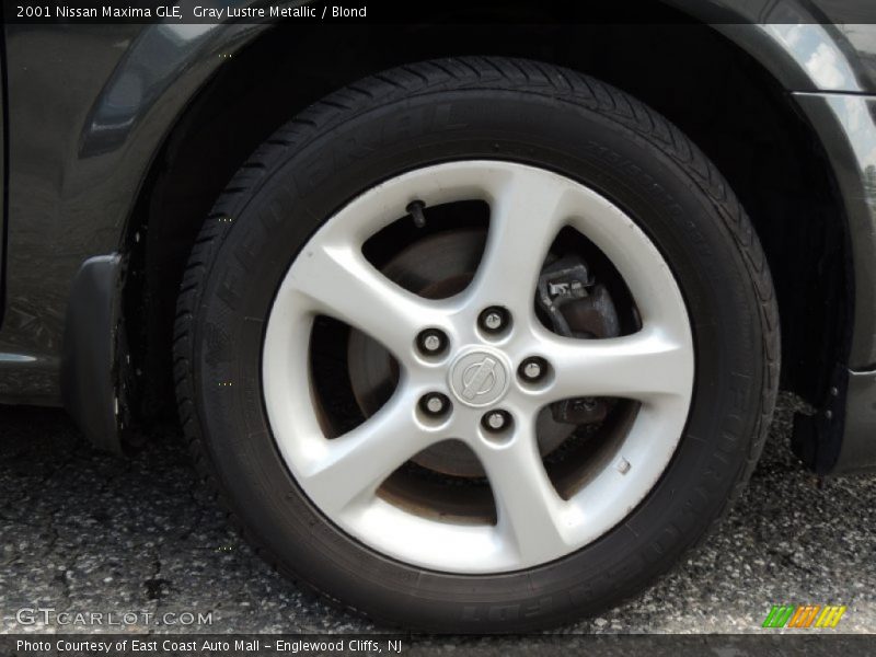 Gray Lustre Metallic / Blond 2001 Nissan Maxima GLE