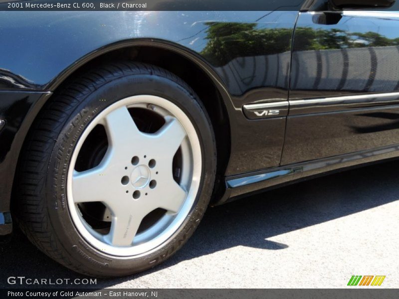 Black / Charcoal 2001 Mercedes-Benz CL 600