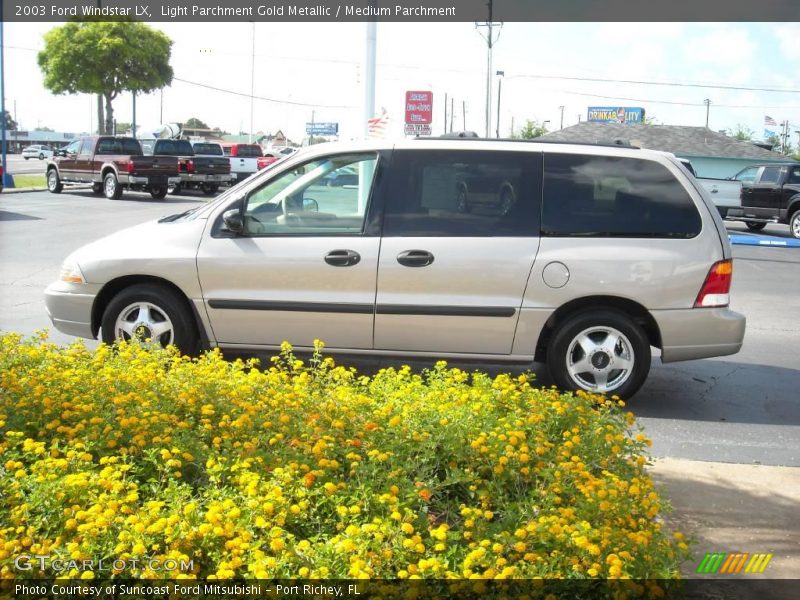 Light Parchment Gold Metallic / Medium Parchment 2003 Ford Windstar LX