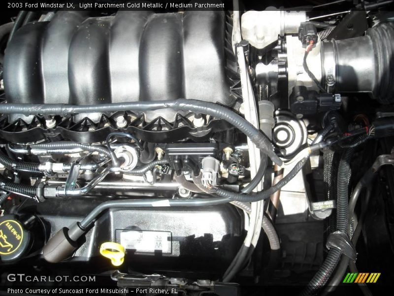 Light Parchment Gold Metallic / Medium Parchment 2003 Ford Windstar LX