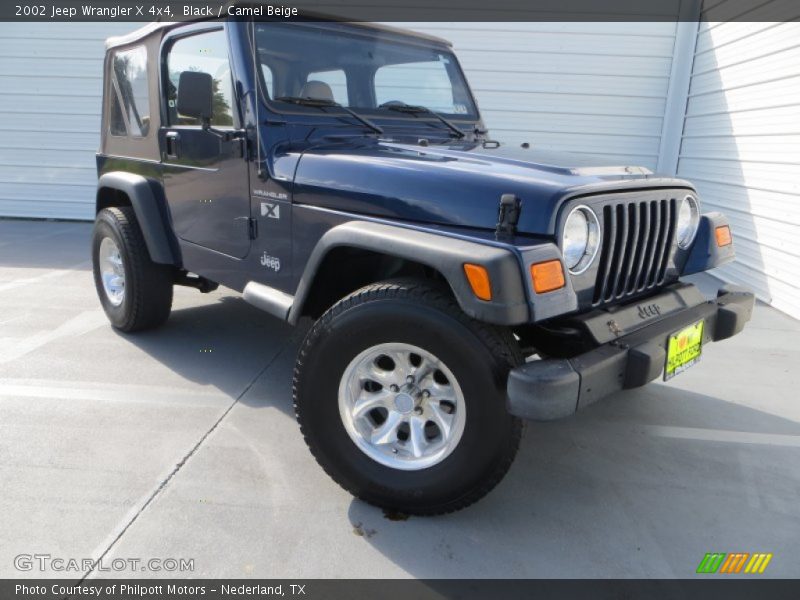Black / Camel Beige 2002 Jeep Wrangler X 4x4