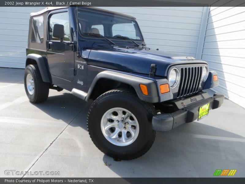 Black / Camel Beige 2002 Jeep Wrangler X 4x4