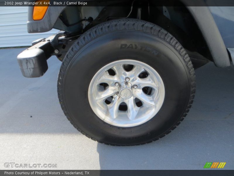 Black / Camel Beige 2002 Jeep Wrangler X 4x4