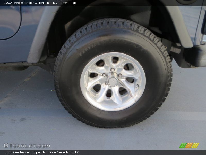 Black / Camel Beige 2002 Jeep Wrangler X 4x4