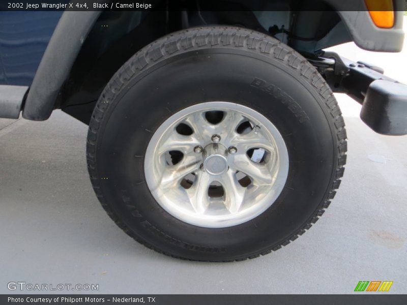 Black / Camel Beige 2002 Jeep Wrangler X 4x4