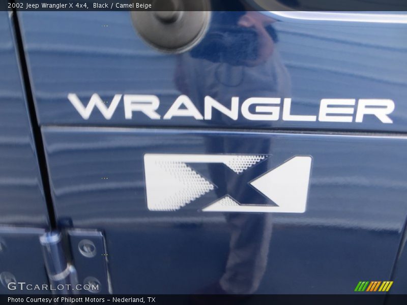 Black / Camel Beige 2002 Jeep Wrangler X 4x4