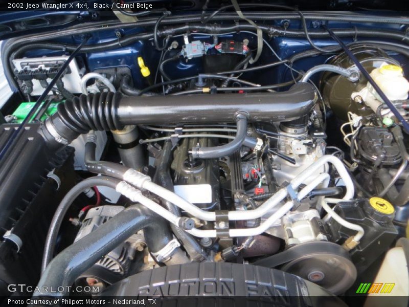 Black / Camel Beige 2002 Jeep Wrangler X 4x4