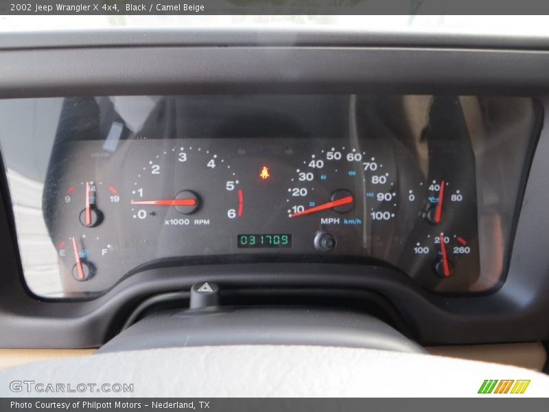 Black / Camel Beige 2002 Jeep Wrangler X 4x4