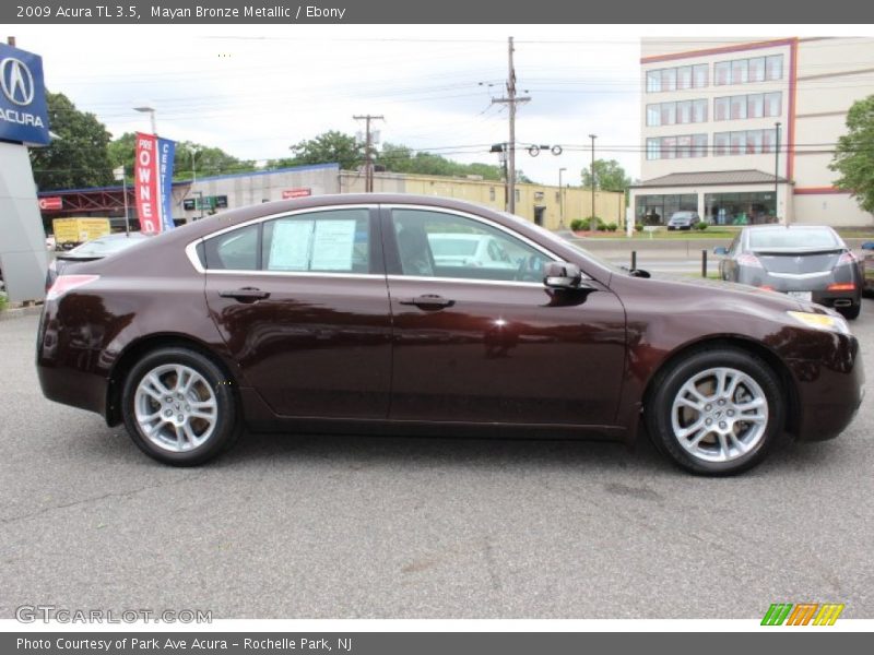 Mayan Bronze Metallic / Ebony 2009 Acura TL 3.5