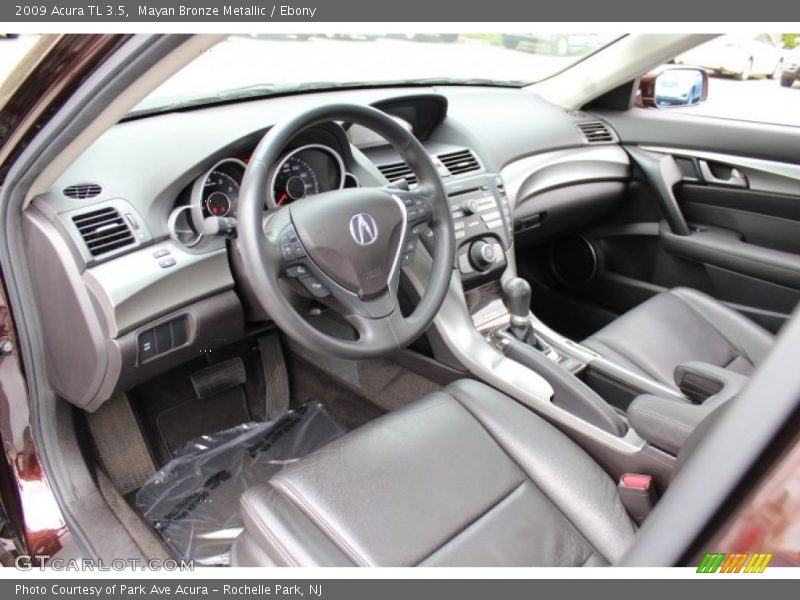 Mayan Bronze Metallic / Ebony 2009 Acura TL 3.5
