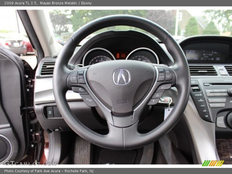 Mayan Bronze Metallic / Ebony 2009 Acura TL 3.5