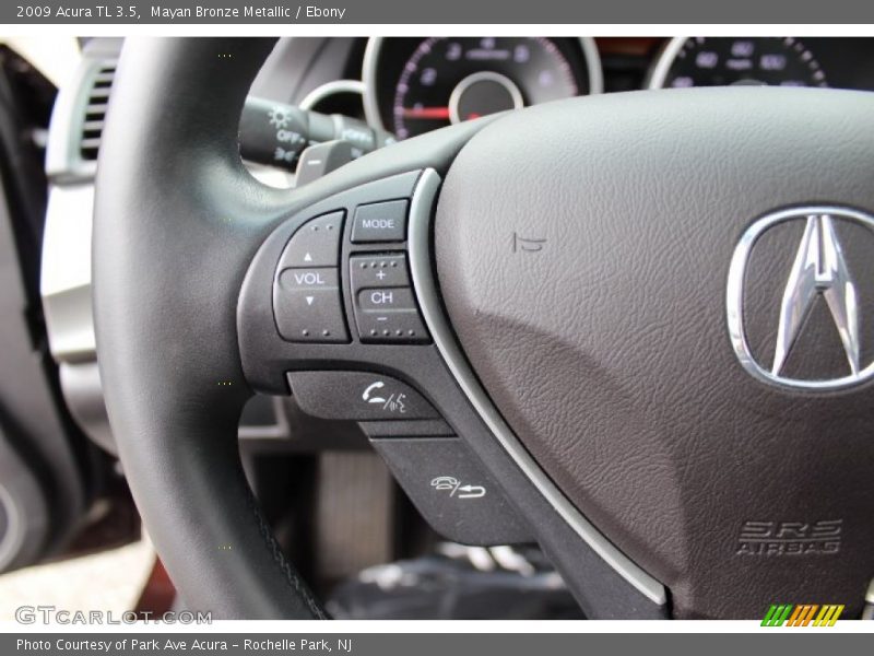 Mayan Bronze Metallic / Ebony 2009 Acura TL 3.5