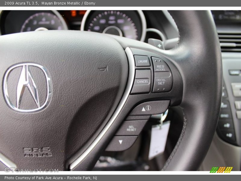 Mayan Bronze Metallic / Ebony 2009 Acura TL 3.5