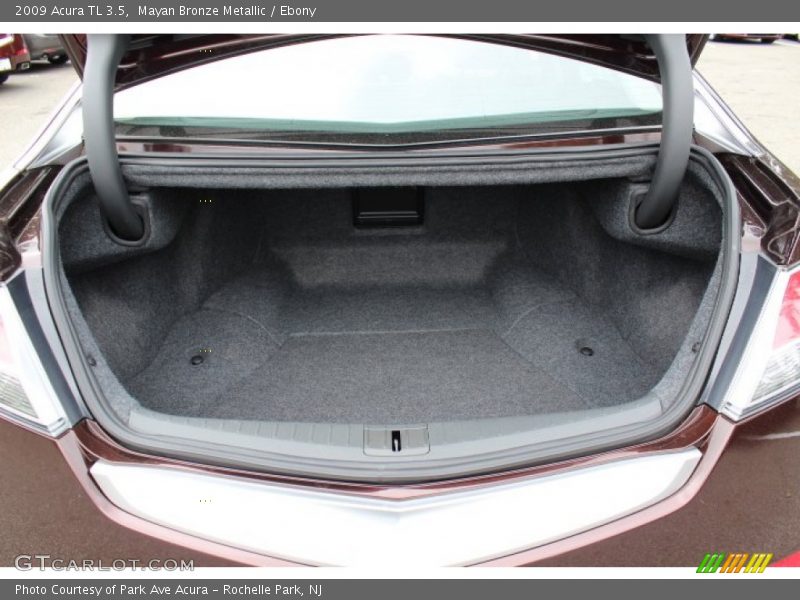 Mayan Bronze Metallic / Ebony 2009 Acura TL 3.5