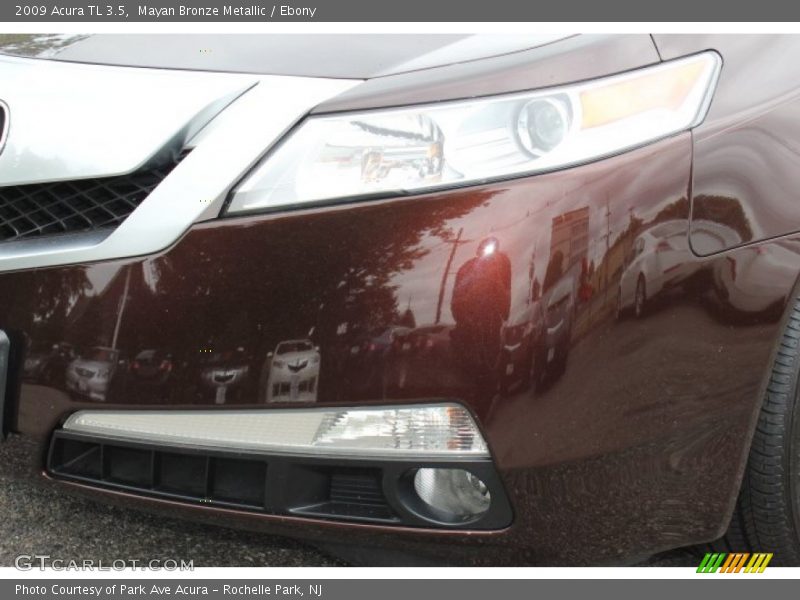Mayan Bronze Metallic / Ebony 2009 Acura TL 3.5