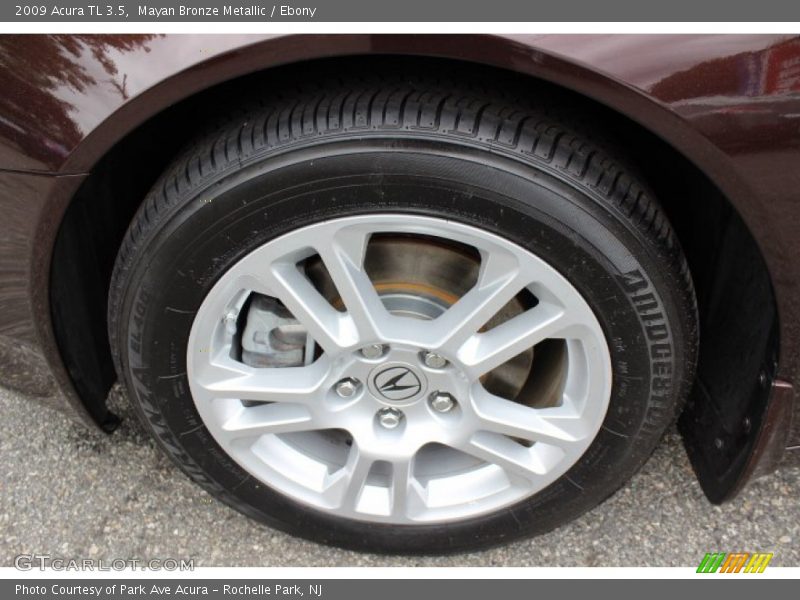 Mayan Bronze Metallic / Ebony 2009 Acura TL 3.5