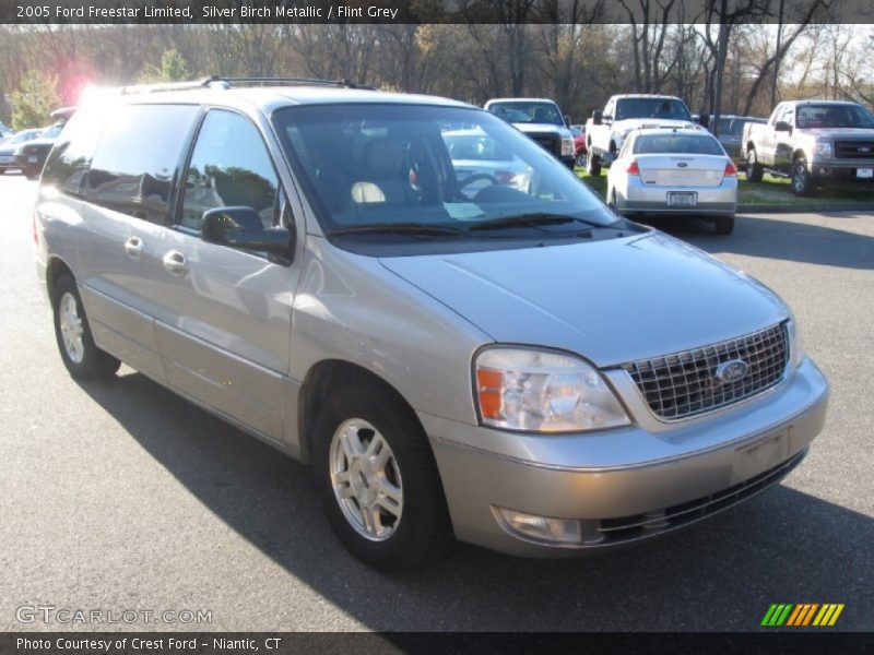 Silver Birch Metallic / Flint Grey 2005 Ford Freestar Limited