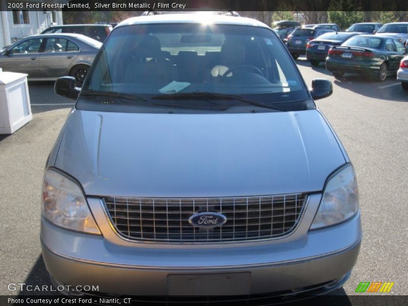 Silver Birch Metallic / Flint Grey 2005 Ford Freestar Limited