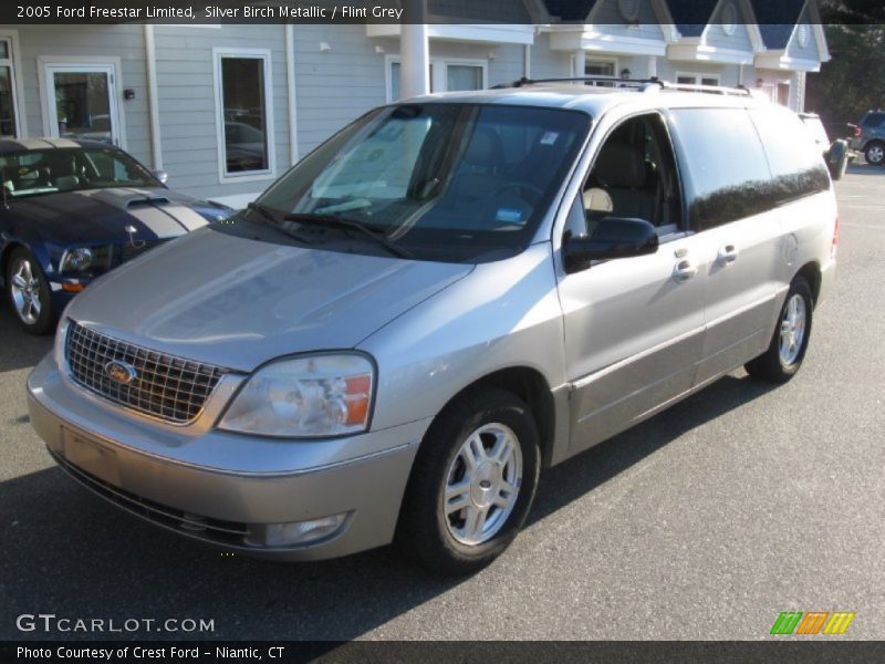 Silver Birch Metallic / Flint Grey 2005 Ford Freestar Limited
