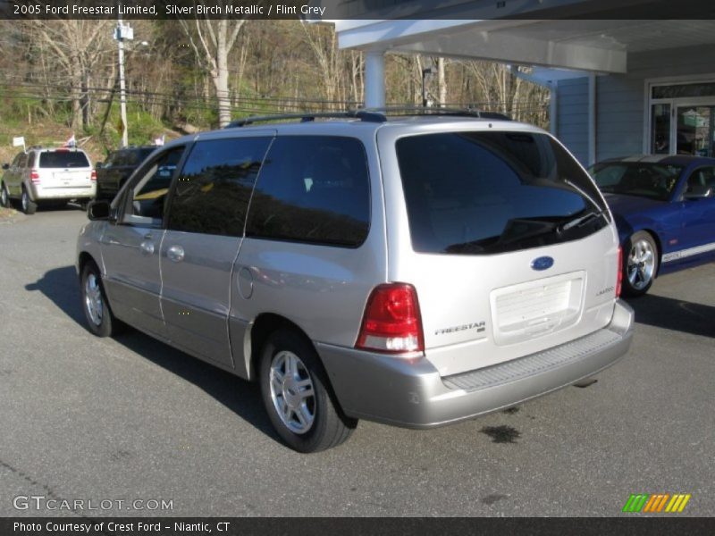 Silver Birch Metallic / Flint Grey 2005 Ford Freestar Limited