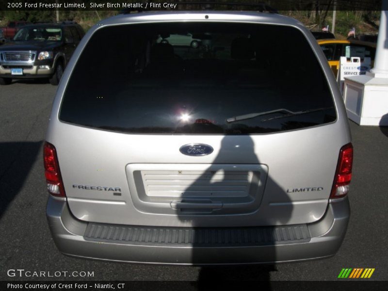 Silver Birch Metallic / Flint Grey 2005 Ford Freestar Limited
