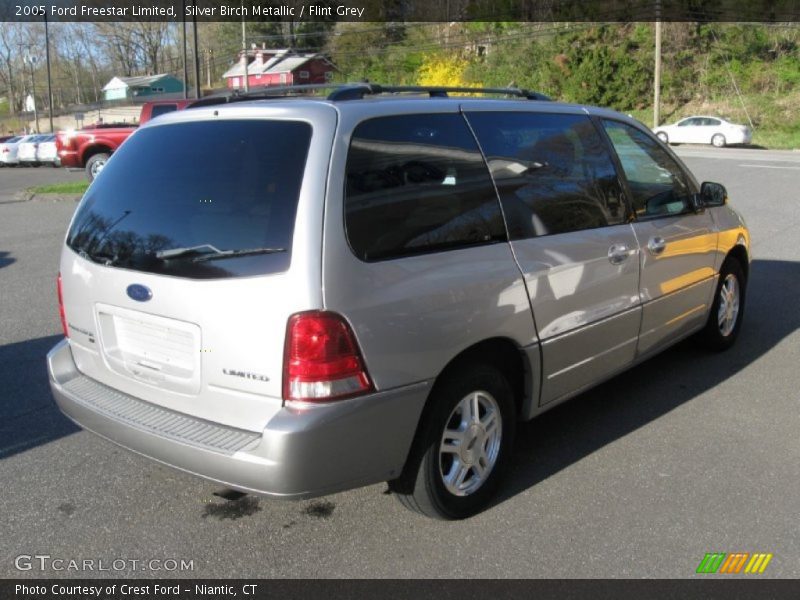 Silver Birch Metallic / Flint Grey 2005 Ford Freestar Limited