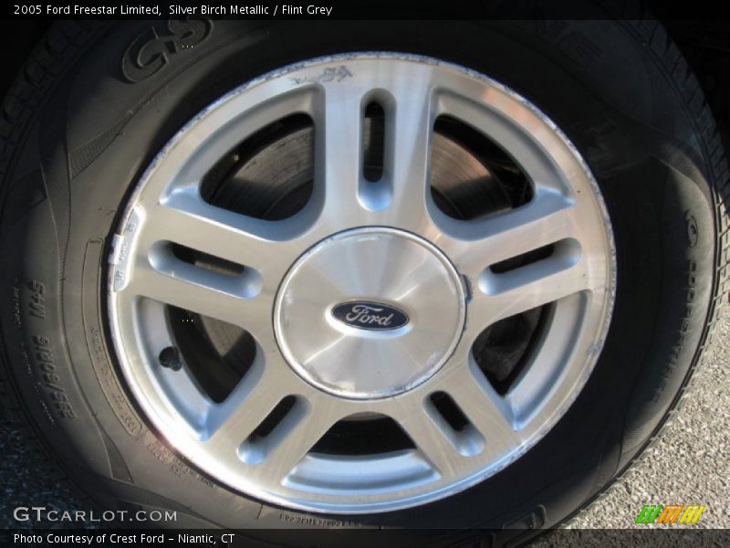Silver Birch Metallic / Flint Grey 2005 Ford Freestar Limited