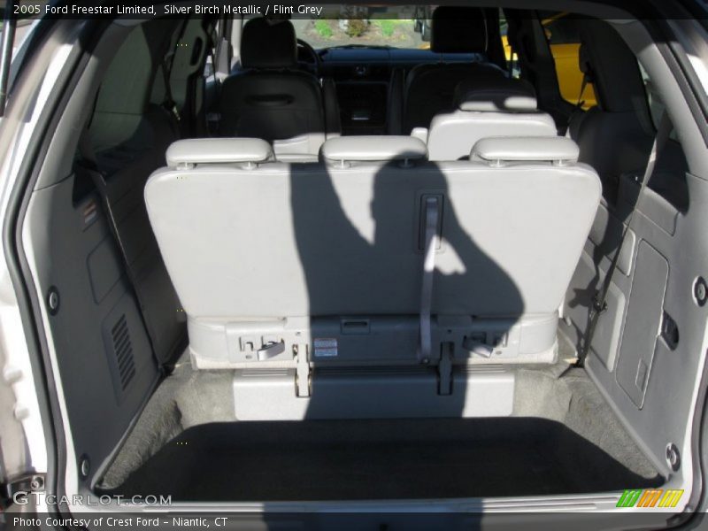 Silver Birch Metallic / Flint Grey 2005 Ford Freestar Limited