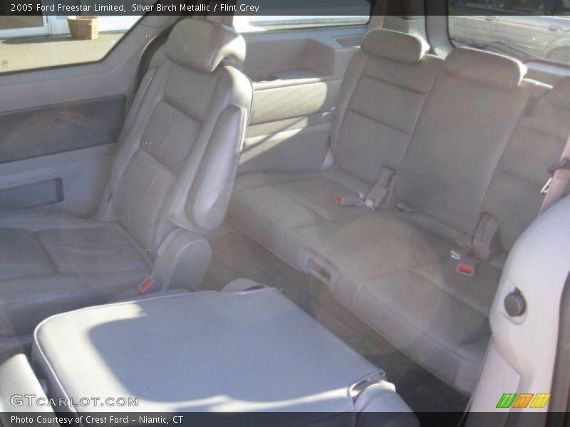Silver Birch Metallic / Flint Grey 2005 Ford Freestar Limited