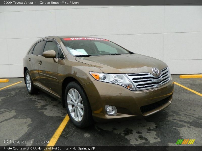 Golden Umber Mica / Ivory 2009 Toyota Venza I4