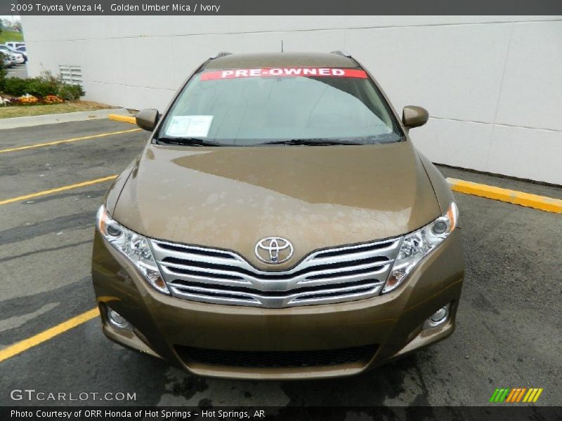 Golden Umber Mica / Ivory 2009 Toyota Venza I4