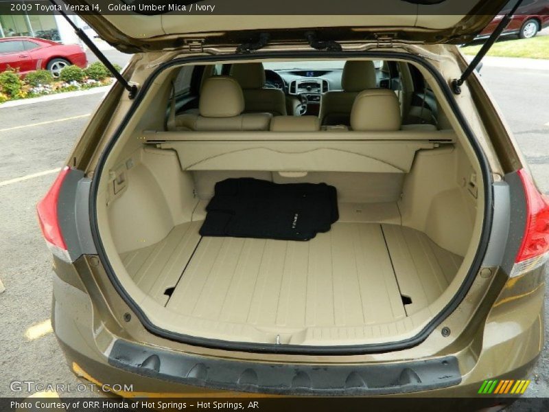  2009 Venza I4 Trunk