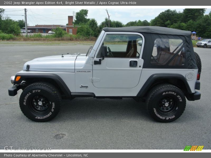  2002 Wrangler Apex Edition 4x4 Bright Silver Metallic