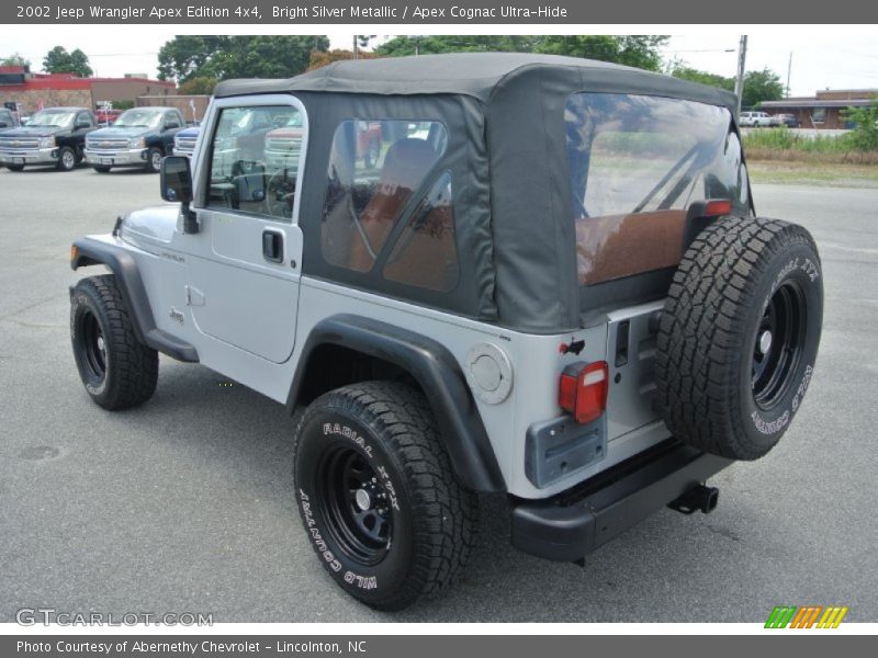 Bright Silver Metallic / Apex Cognac Ultra-Hide 2002 Jeep Wrangler Apex Edition 4x4