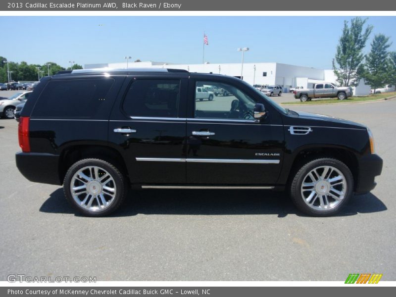Black Raven / Ebony 2013 Cadillac Escalade Platinum AWD