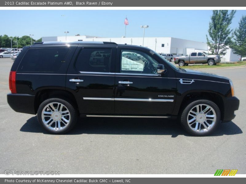 Black Raven / Ebony 2013 Cadillac Escalade Platinum AWD