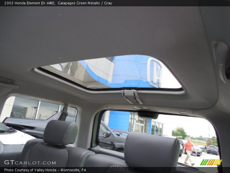 Galapagos Green Metallic / Gray 2003 Honda Element EX AWD