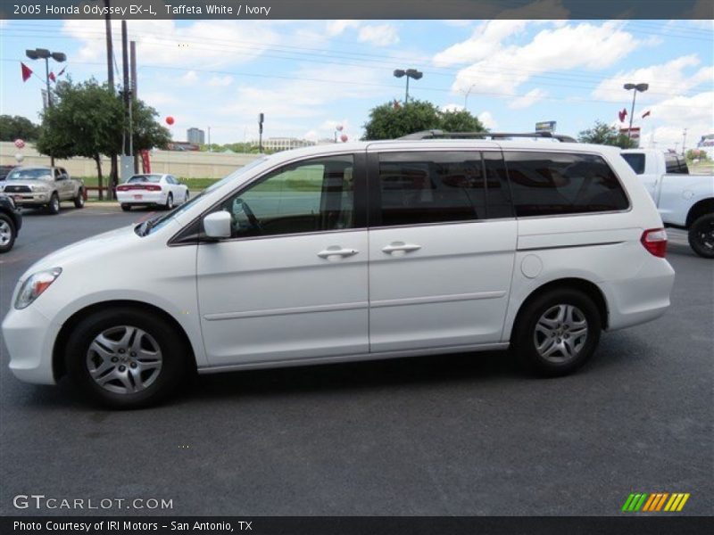 Taffeta White / Ivory 2005 Honda Odyssey EX-L