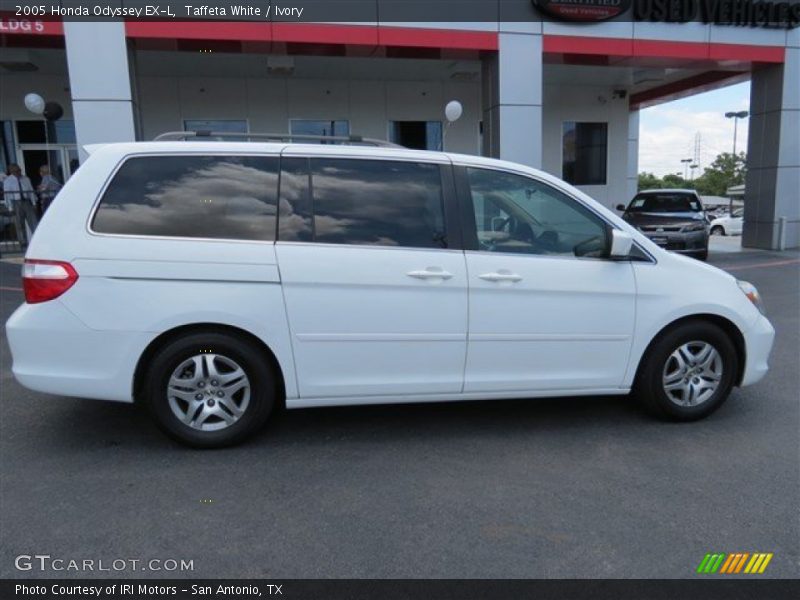 Taffeta White / Ivory 2005 Honda Odyssey EX-L