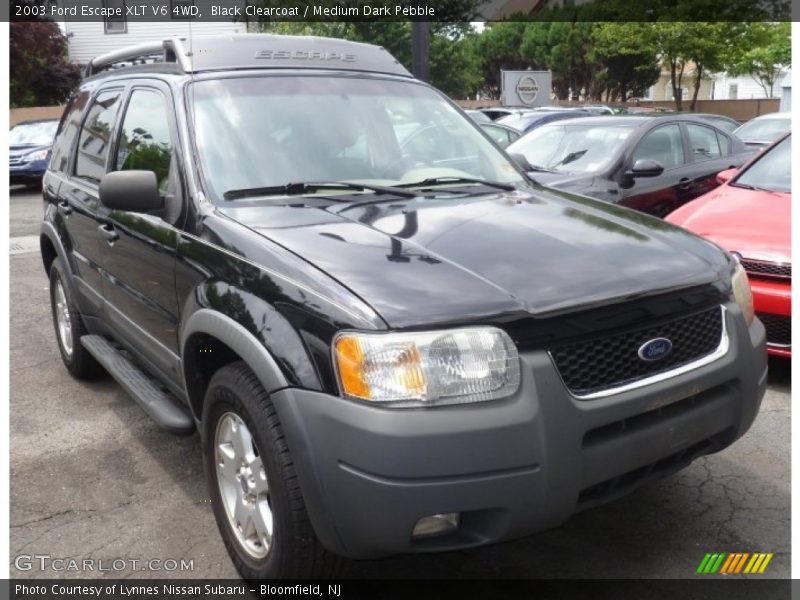 Black Clearcoat / Medium Dark Pebble 2003 Ford Escape XLT V6 4WD