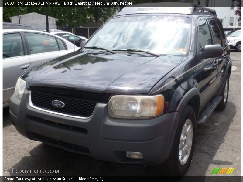 Black Clearcoat / Medium Dark Pebble 2003 Ford Escape XLT V6 4WD