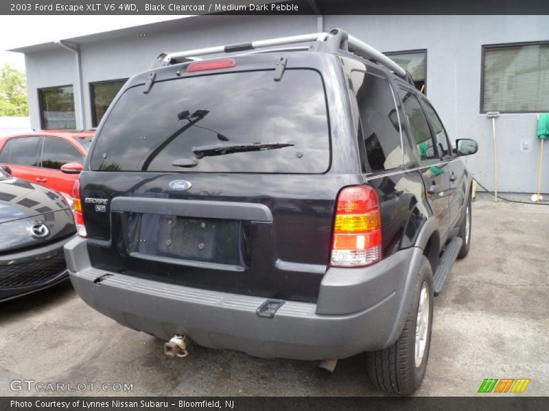 Black Clearcoat / Medium Dark Pebble 2003 Ford Escape XLT V6 4WD