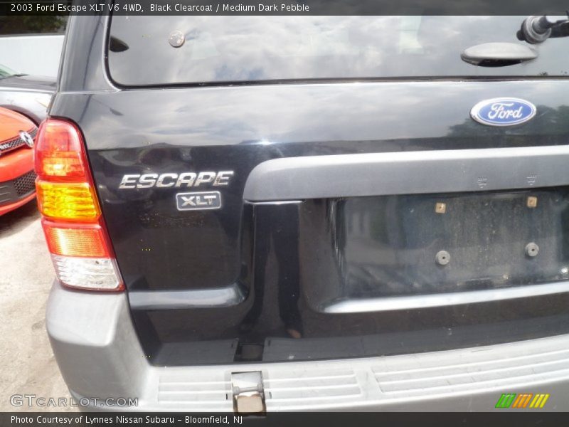 Black Clearcoat / Medium Dark Pebble 2003 Ford Escape XLT V6 4WD