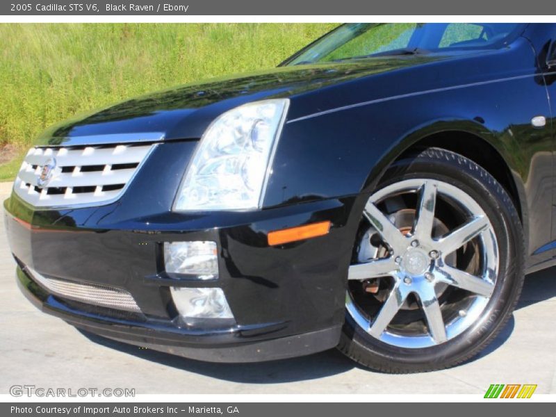 Black Raven / Ebony 2005 Cadillac STS V6